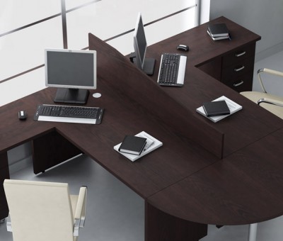 İkili Çalışma Masası Ofis Büro Tipi 1115